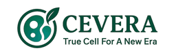 Logo Cevera